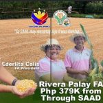 Rivera Palay FA Generates Php 379K from Corn Yield Through SAAD Assistance