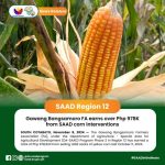 Gawang Bangsamoro FA earns over Php 978K from SAAD corn interventions