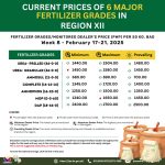 CURRENT PRICES OF 6 MAJOR FERTILIZER GRADES IN REGION XII