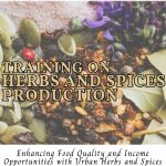 INVITATION TO ALL HERBS & SPICES ENTHUSIASTS!