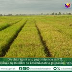 DA chief iginiit ang pag-amiyenda sa RTL, nagbabala ng madilim na kinabukasan sa pagsasaka ng palay